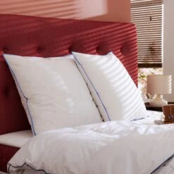 Lot De 2 Oreillers Moelleux Duvet De Canard Anti-allergènes Someo -Magasin De Literie 2oreillers duvet de canard zoom ambiance 2