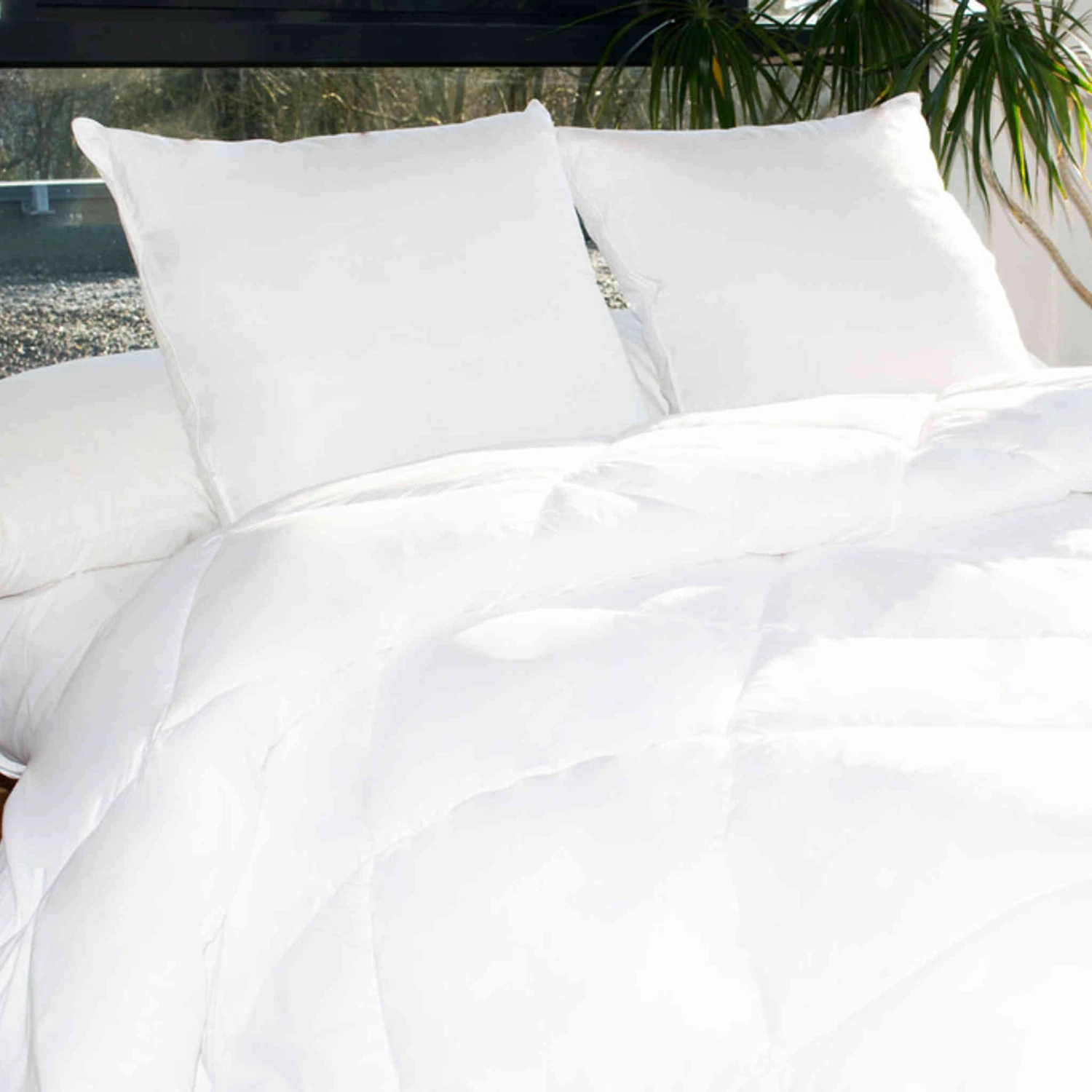 Couette Haute Lavabilité 95°C 5 Couette Haute Lavabilité 95°C – Image 3