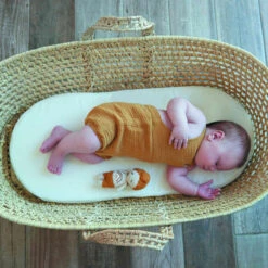 Candide Matelas Landau Bébé Déhoussable 32x72 Cm 7 Candide Matelas Landau Bébé Déhoussable 32x72 Cm -Magasin De Literie landau fond blanc 3