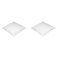 Lot De 2 Oreillers Luxe Moelleux Enveloppe Percale Anti-acariens Someo