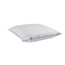 Pack Oreiller Et Traversin Moelleux/ferme Duvet De Canard Anti-allergènes Someo 10 Pack Oreiller Et Traversin Moelleux/ferme Duvet De Canard Anti-allergènes Someo -Magasin De Literie oreiller 30 duvet 1 1