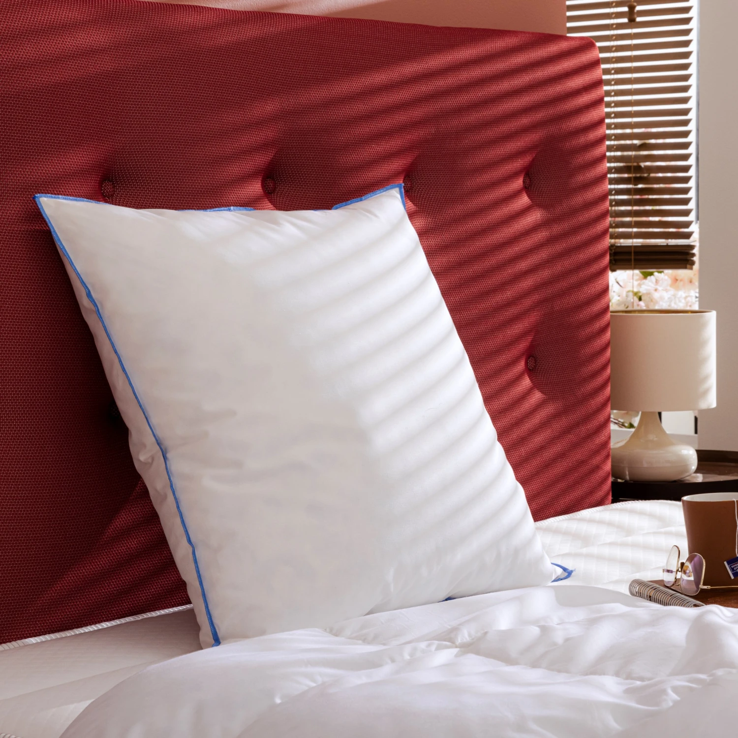 Oreiller Moelleux Duvet De Canard Anti-allergènes Someo 3 Oreiller Moelleux Duvet De Canard Anti-allergènes Someo