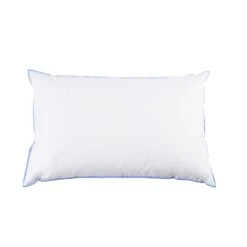 Oreiller Moelleux/ferme Duvet De Canard Anti-allergènes Someo 14 Oreiller Moelleux/ferme Duvet De Canard Anti-allergènes Someo -Magasin De Literie oreillers moelleux duvet de canard anti allerg nes someo 45x70 fond blanc 2