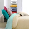 Housse De Couette Percale Coquille - Tradilinge 1 Housse De Couette Percale Coquille - Tradilinge -Magasin De Literie percale 0005 coquille